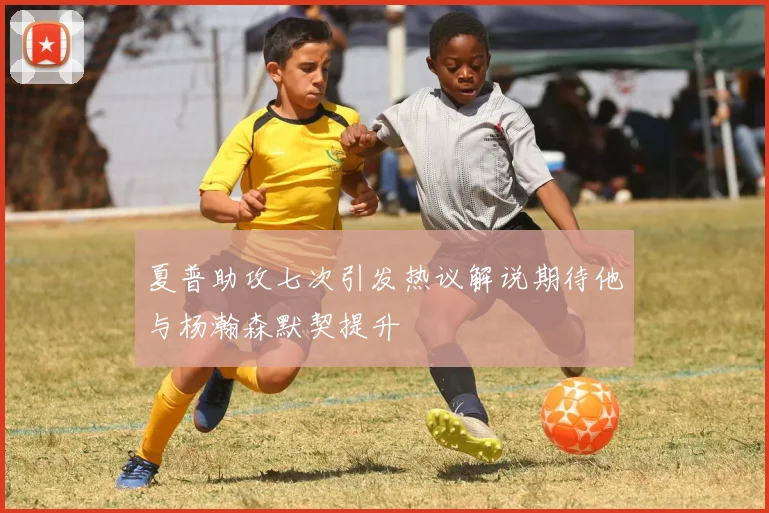 夏普助攻七次引发热议解说期待他与杨瀚森默契提升