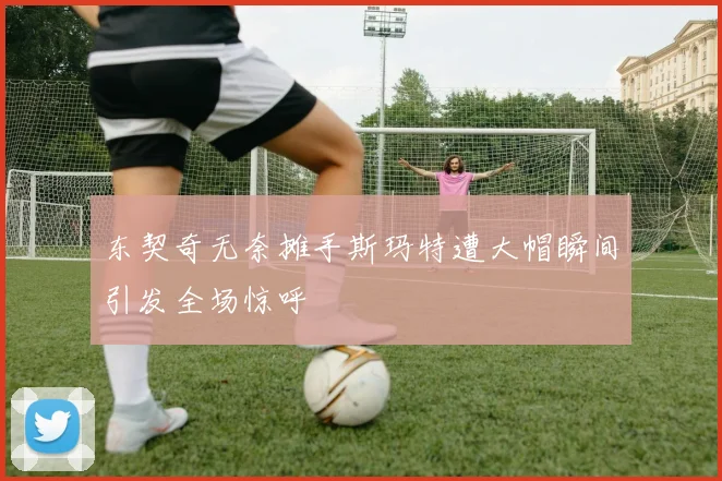 东契奇无奈摊手斯玛特遭大帽瞬间引发全场惊呼