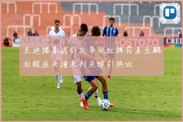 王迪揭幕战引发争议红牌罚姜至鹏刘殿座头撞未判点球引热议